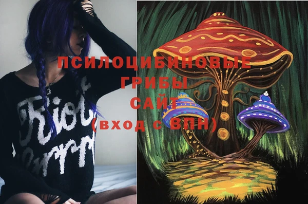 спайс Алзамай